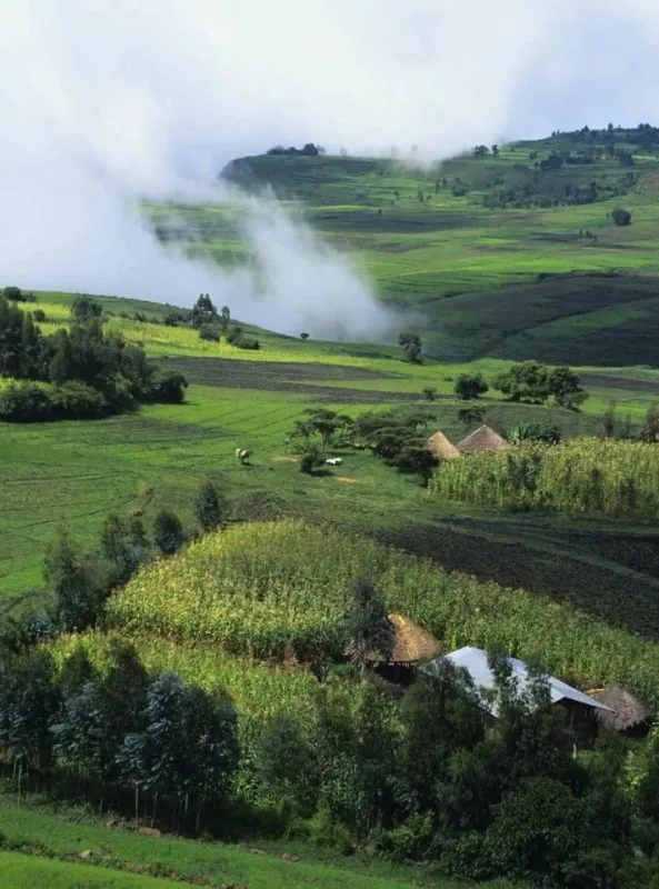 Highlands of Ethiopia